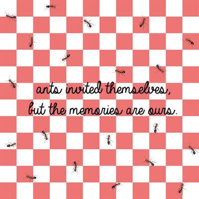 Image Not Available
